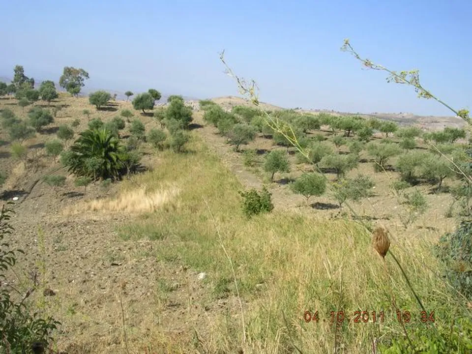 Landejendom i Cianciana, Agrigento - foto 5